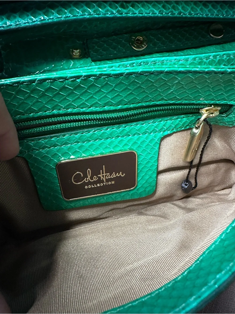 Cole Haan Green Keaton Snake Clutch RESCUE